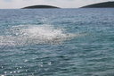 gal/cro 08/_thb_small-IMG_4920.JPG